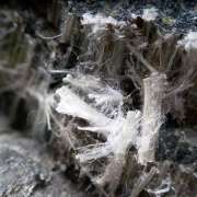 Asbestos Exposure