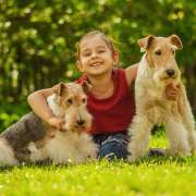 children how to be safe around dogs