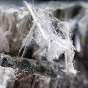 Asbestos Exposure