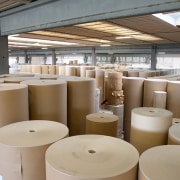 Mesothelioma at Willamette Industries Paper Mill