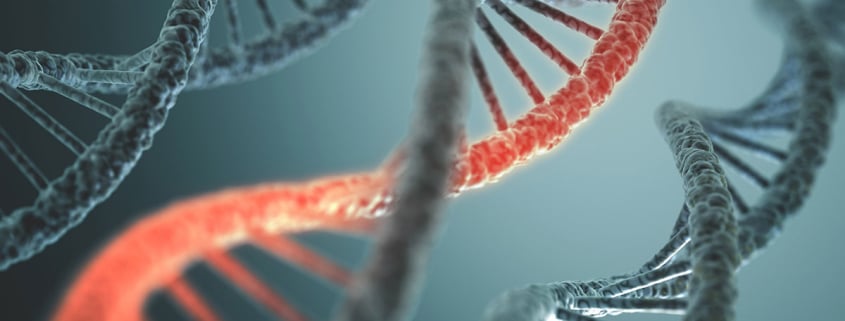 Gene Mutation + Asbestos = Mesothelioma